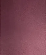 RV IFAN VIOLET TOPAT